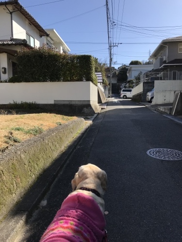 f0315081_16542280.jpeg