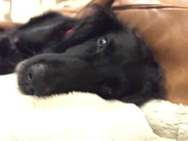 c0332184_23381505.jpeg