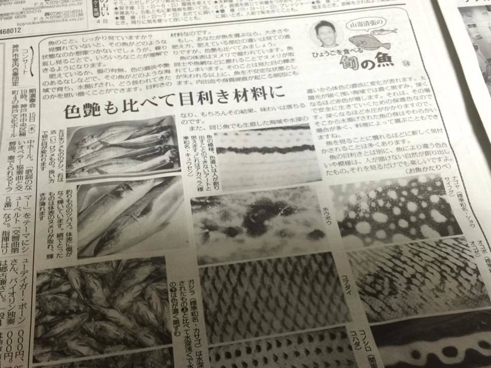 毎日新聞 ひょうごを食べる 旬の魚_d0268290_15025523.jpg