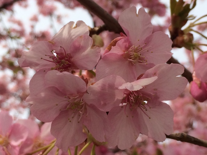 f0201297_02093514.jpg