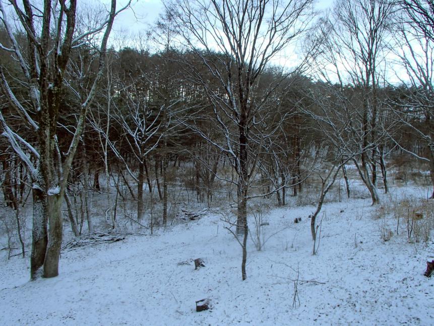 f0064906_09015190.jpg
