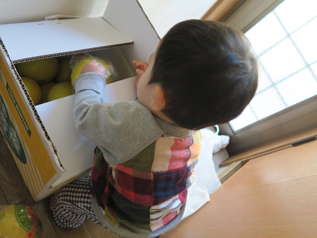 a0210108_2053394.jpg