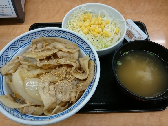 3/10 新味豚丼アタマの大盛り￥580@吉野家_b0042308_11163793.jpg
