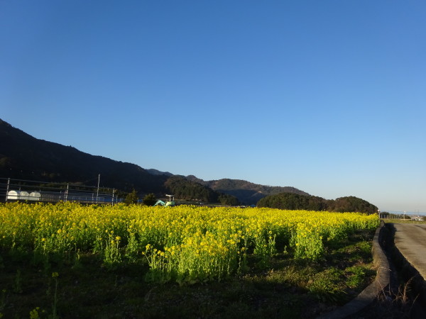 f0231709_14392601.jpg