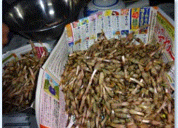 f0231709_16070803.gif