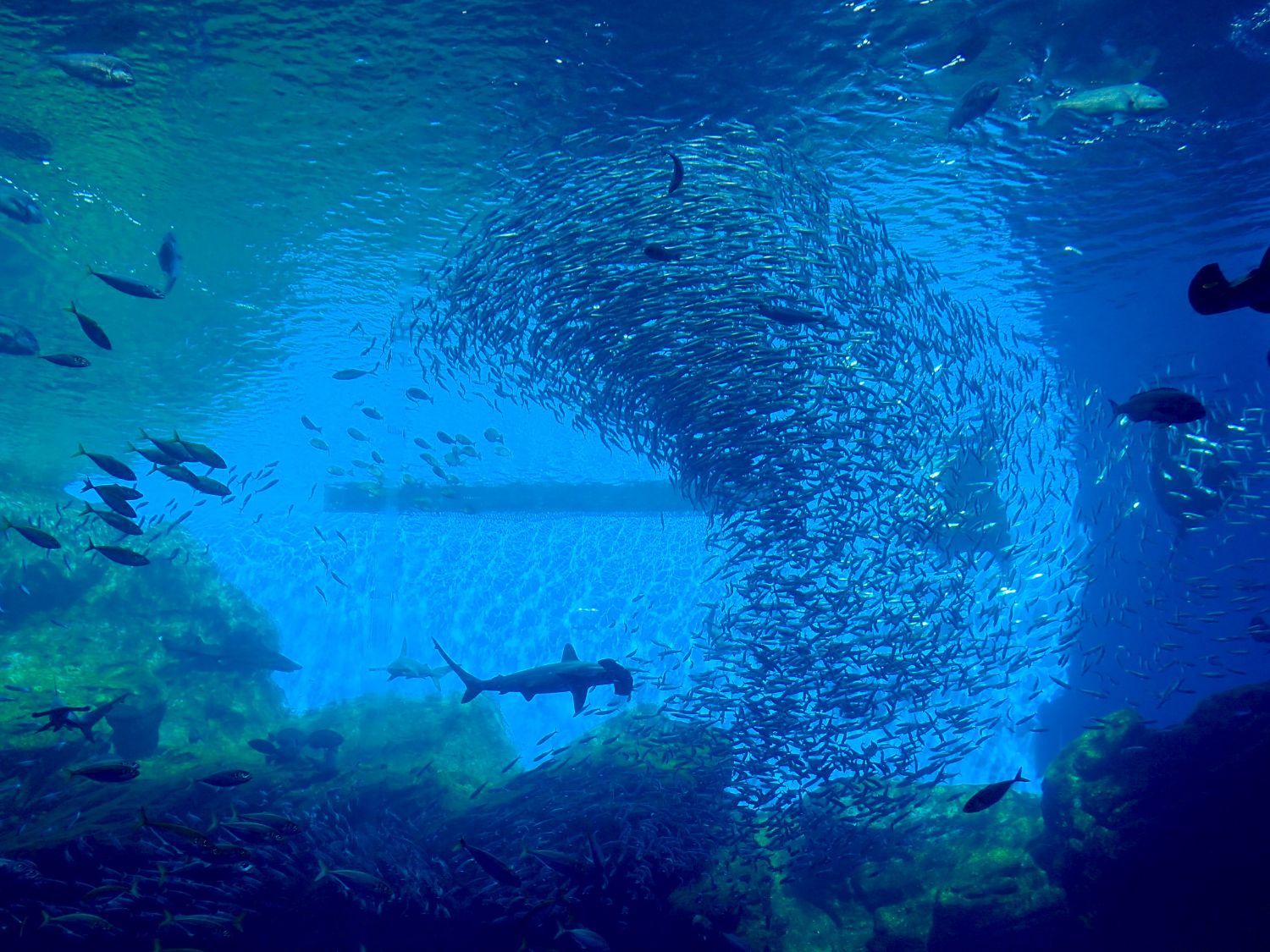 a0165316_22064612.jpg