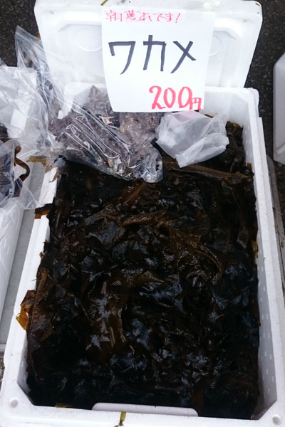 c0213817_11524495.jpg