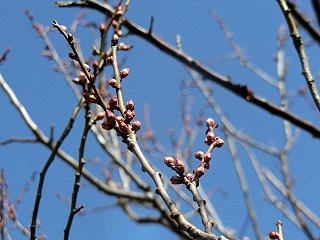 e0234924_11123237.jpg