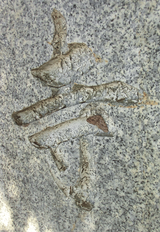 a0126632_14551146.gif