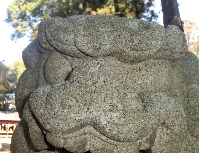a0126632_14591108.gif