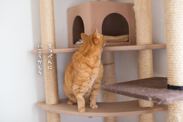 二度見したこと_d0355333_17502808.jpg
