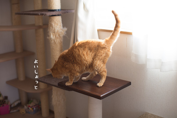 おいつかない_d0355333_17514200.jpg