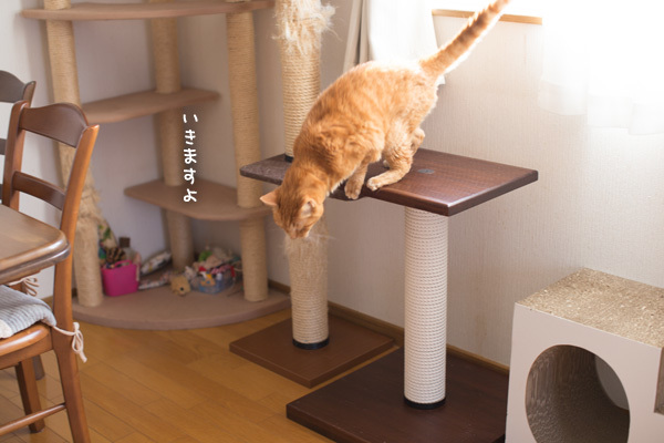 おいつかない_d0355333_17514500.jpg
