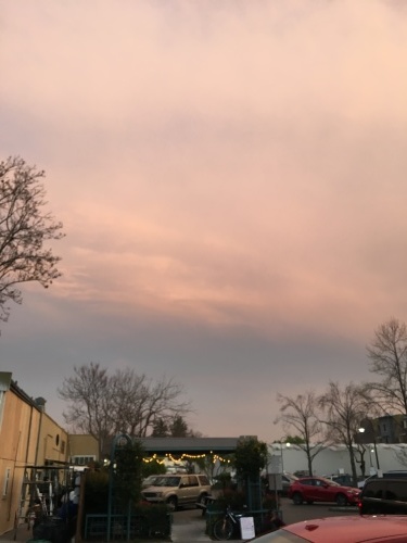 f0342135_13315265.jpeg