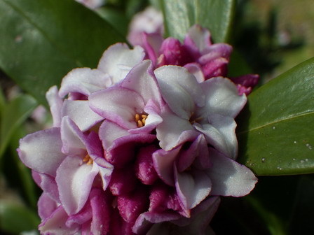 a0123836_12022139.jpg