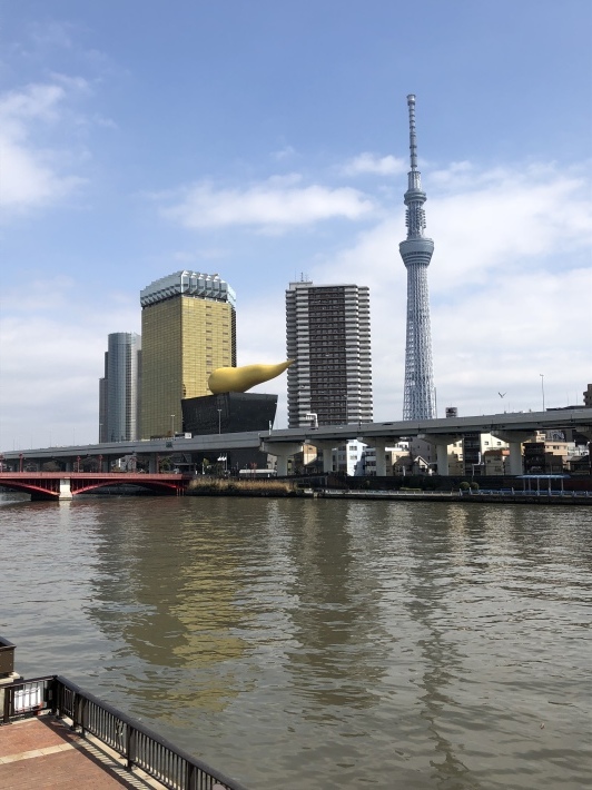 d0282139_16212233.jpeg