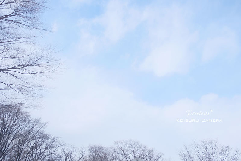 c0101341_11471197.jpg
