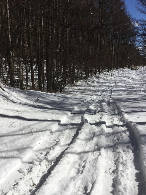 c0349842_21152398.jpg