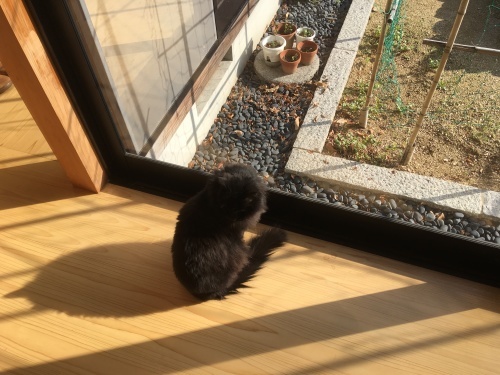 a0152454_09241631.jpeg