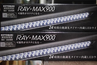c0193254_20393590.jpg