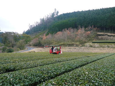 菊池水源茶 有機栽培のお茶に肥料を散布!厳しい基準がありました!_a0254656_18400019.jpg