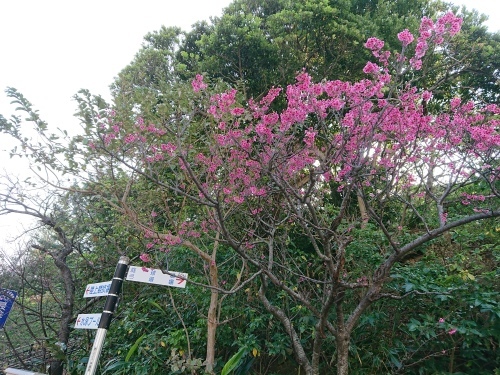 c0100865_12493248.jpg