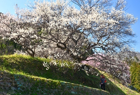 c0303868_06192637.jpg