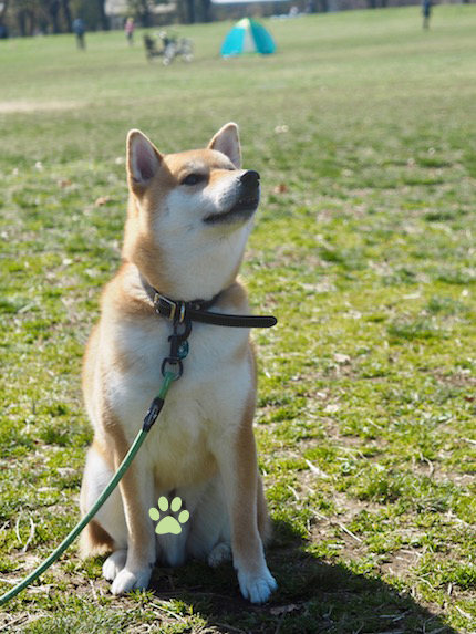 晴天の鶴見緑地公園♪_a0232774_10195576.jpg