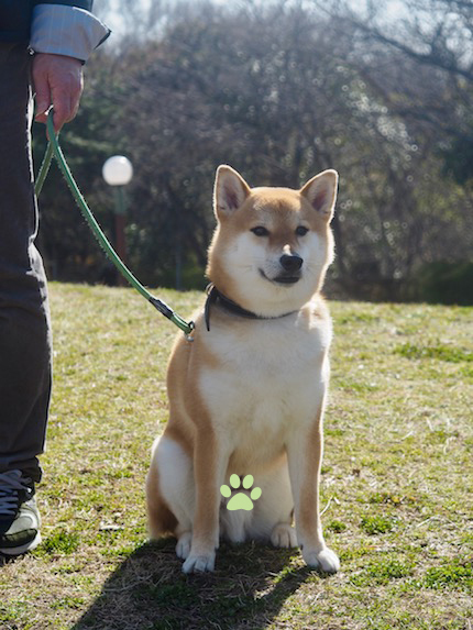 晴天の鶴見緑地公園♪_a0232774_10350045.jpg