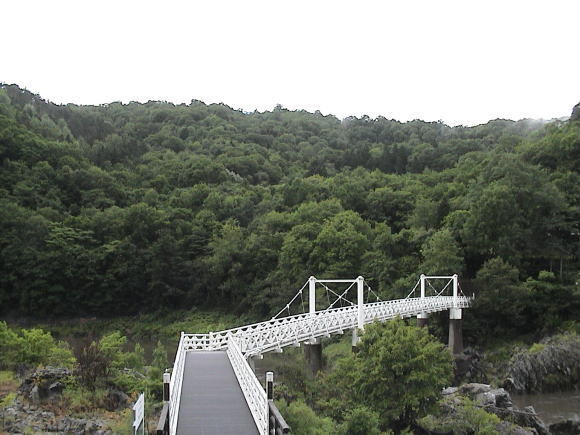 a0268377_11404920.jpg