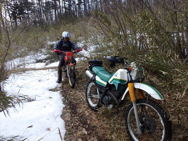 山道散歩は残雪で引き返す_b0080681_21055478.jpg