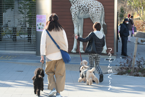 a0216583_11211093.png