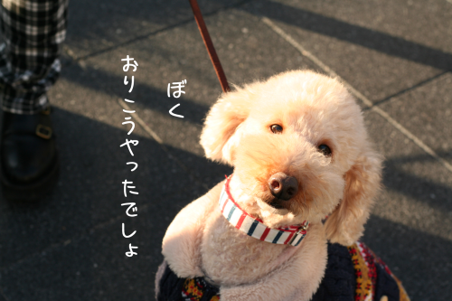 a0216583_11214524.png