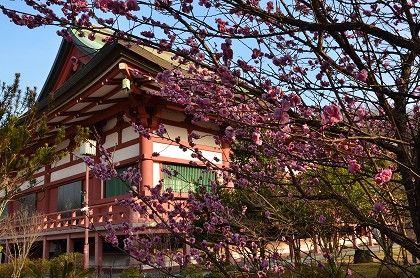 c0229483_2323216.jpg