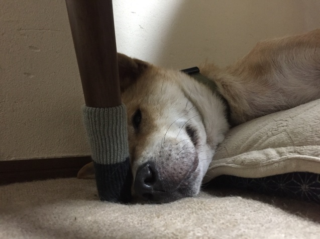 c0332184_11001261.jpeg