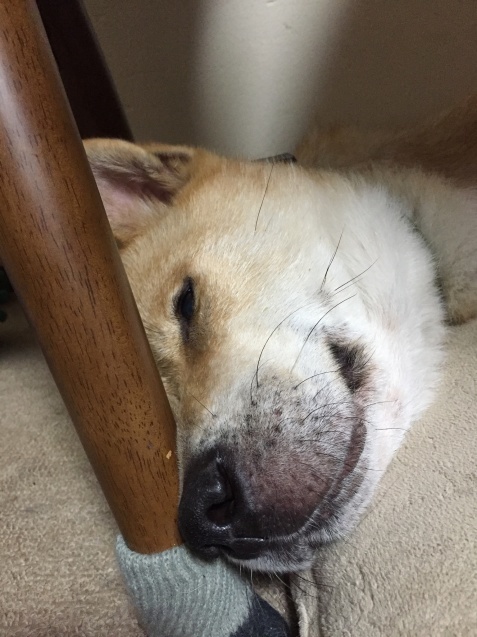 c0332184_14525472.jpeg