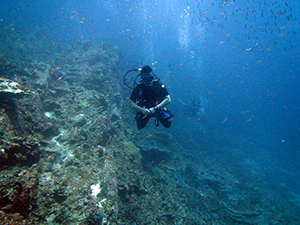 f0144385_20192163.jpg
