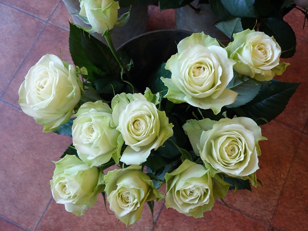 e0140986_115453100.jpg