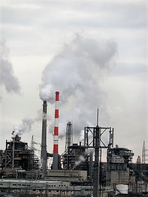 d0181492_22434858.jpg