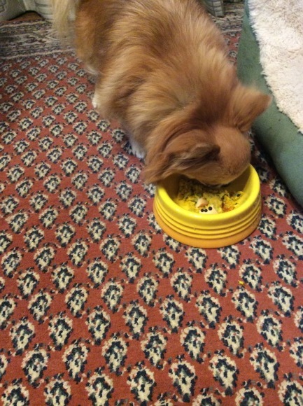 f0185804_18265455.jpeg