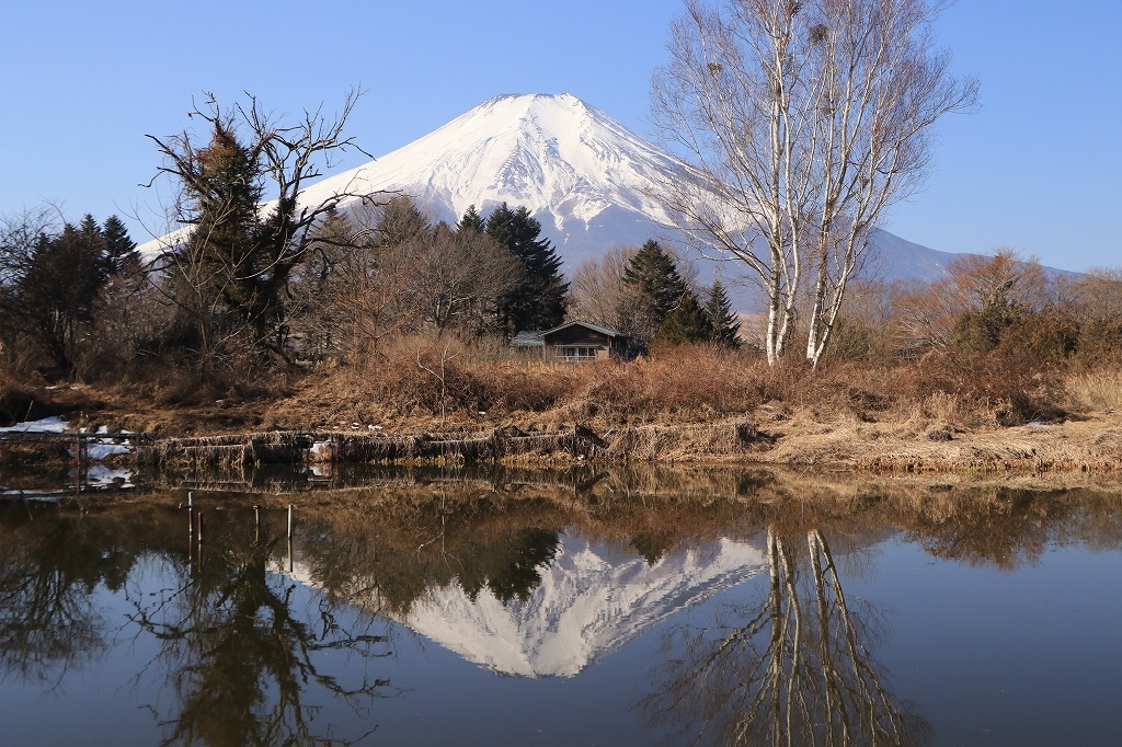 鶴ケ池の逆さ富士_a0188405_23131462.jpg