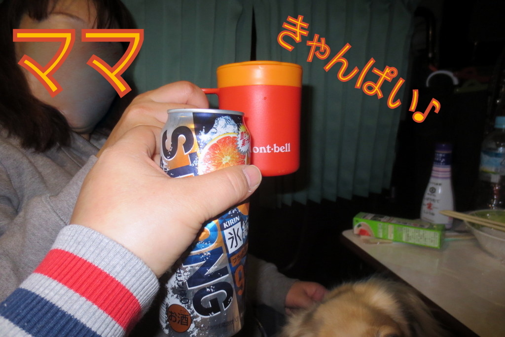 焼津よいとこ何度もおいで♪ 車中泊ディナー編_f0224506_12531264.jpg