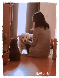c0190707_22422352.jpeg