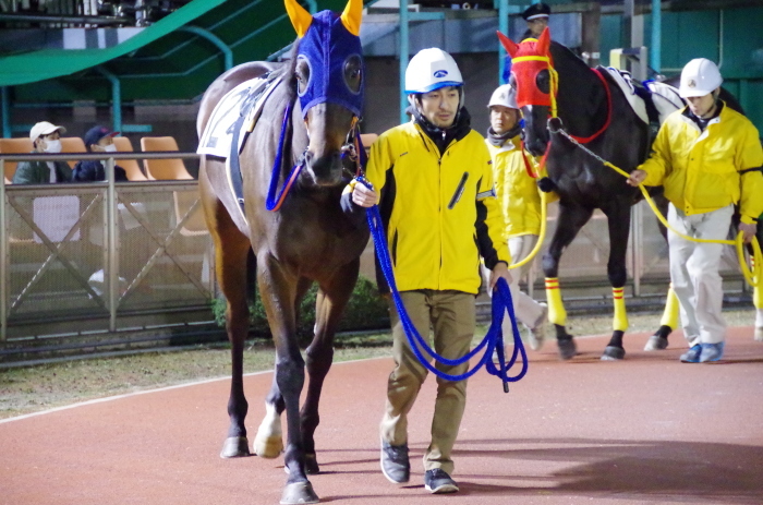 チョリータ 28戦目＠船橋競馬場 9R 2018.3.12_d0344707_21171568.jpg