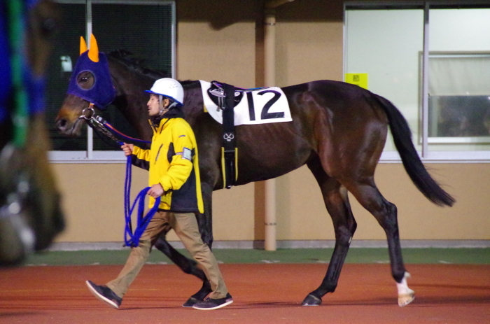 チョリータ 28戦目＠船橋競馬場 9R 2018.3.12_d0344707_21172739.jpg