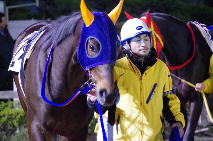 チョリータ 28戦目＠船橋競馬場 9R 2018.3.12_d0344707_21173875.jpg