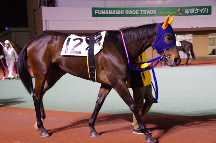 チョリータ 28戦目＠船橋競馬場 9R 2018.3.12_d0344707_21174343.jpg