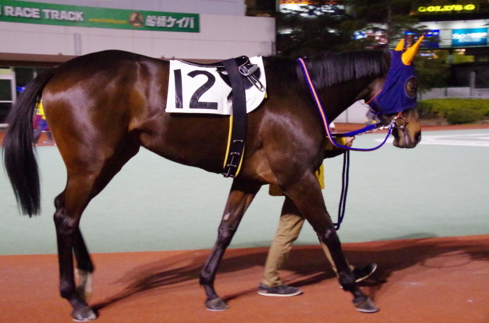 チョリータ 28戦目＠船橋競馬場 9R 2018.3.12_d0344707_21174836.jpg