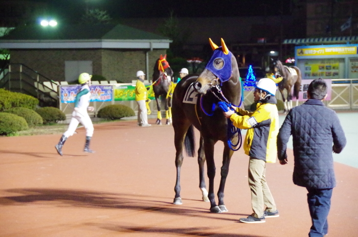 チョリータ 28戦目＠船橋競馬場 9R 2018.3.12_d0344707_21180044.jpg