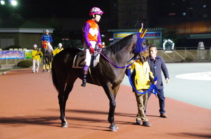 チョリータ 28戦目＠船橋競馬場 9R 2018.3.12_d0344707_21180629.jpg